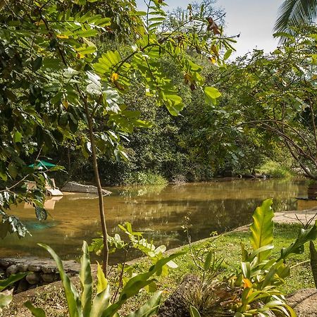 Villa Azalea Inn & Organic Farm JALISCO エクステリア 写真