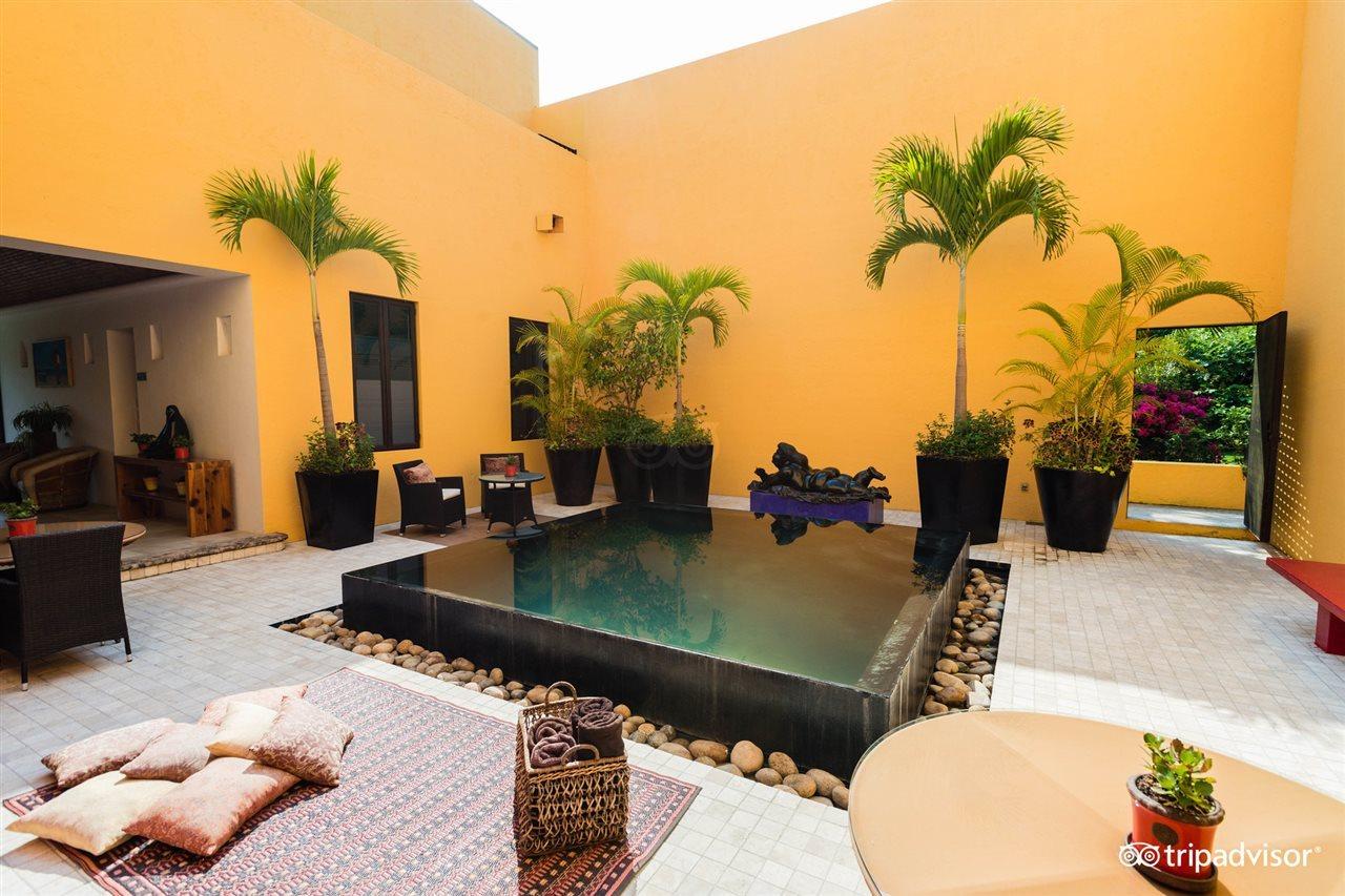 Villa Azalea Inn & Organic Farm JALISCO エクステリア 写真