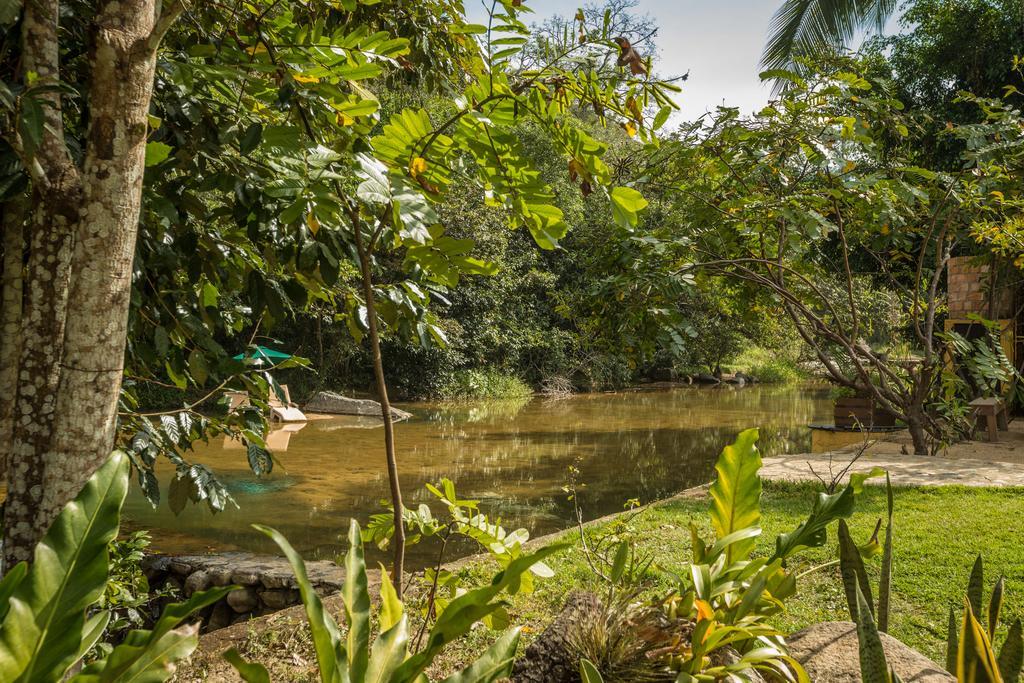 Villa Azalea Inn & Organic Farm JALISCO エクステリア 写真