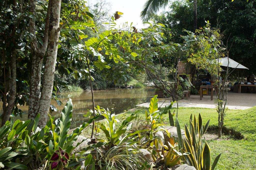 Villa Azalea Inn & Organic Farm JALISCO エクステリア 写真