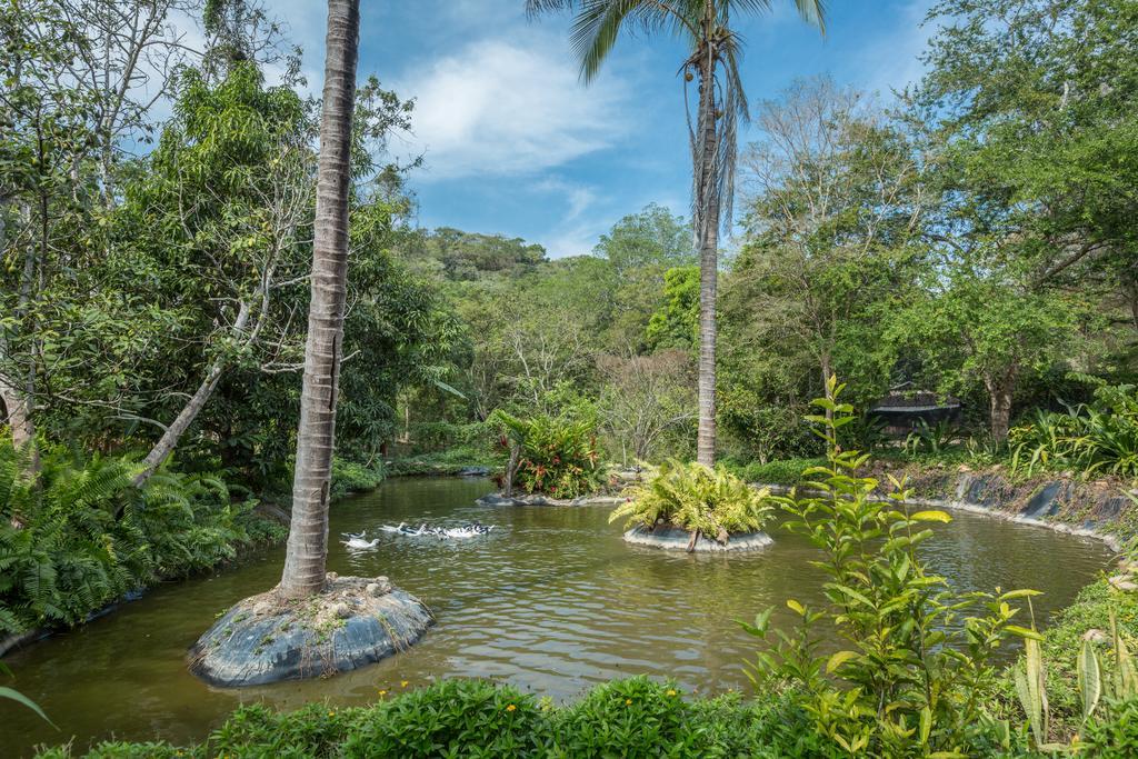 Villa Azalea Inn & Organic Farm JALISCO エクステリア 写真