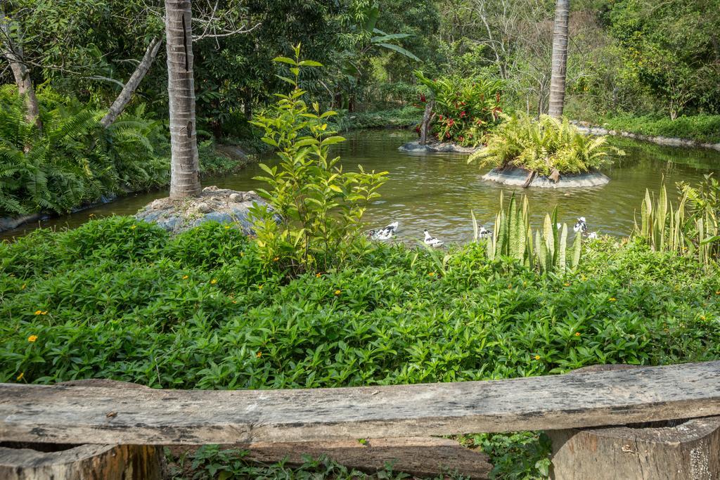 Villa Azalea Inn & Organic Farm JALISCO エクステリア 写真