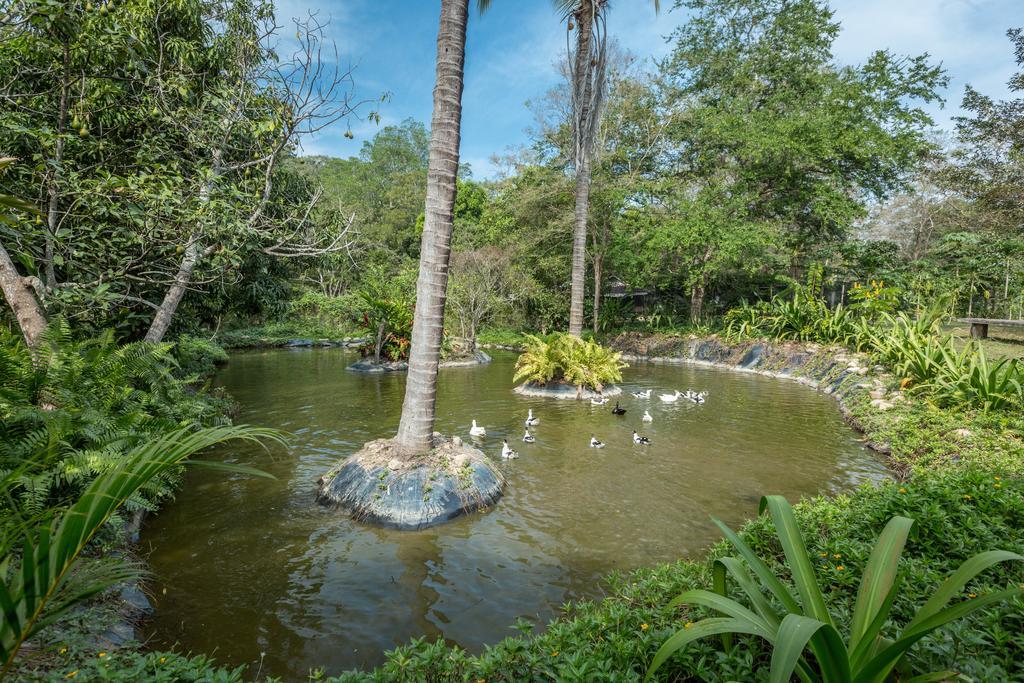 Villa Azalea Inn & Organic Farm JALISCO エクステリア 写真