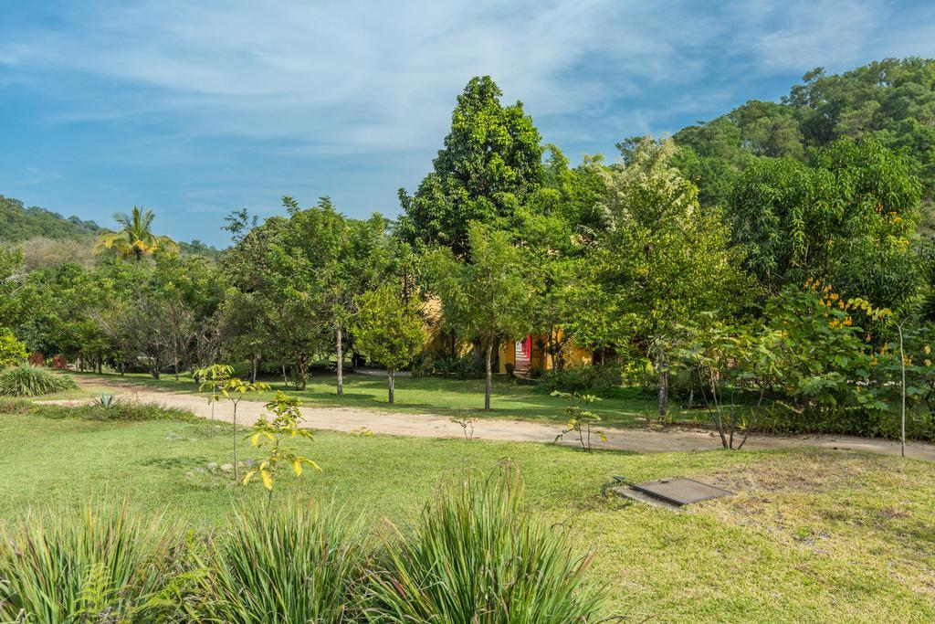 Villa Azalea Inn & Organic Farm JALISCO エクステリア 写真