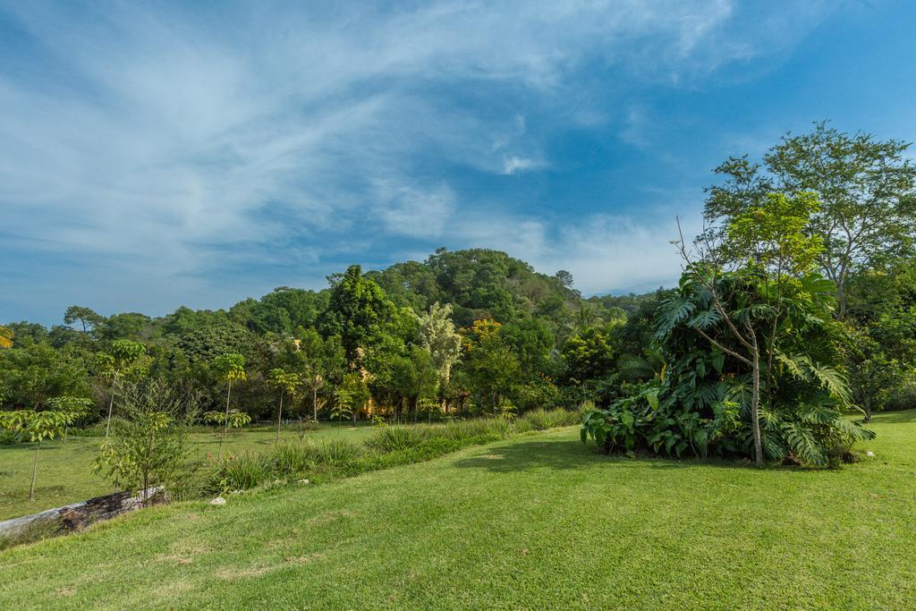 Villa Azalea Inn & Organic Farm JALISCO エクステリア 写真