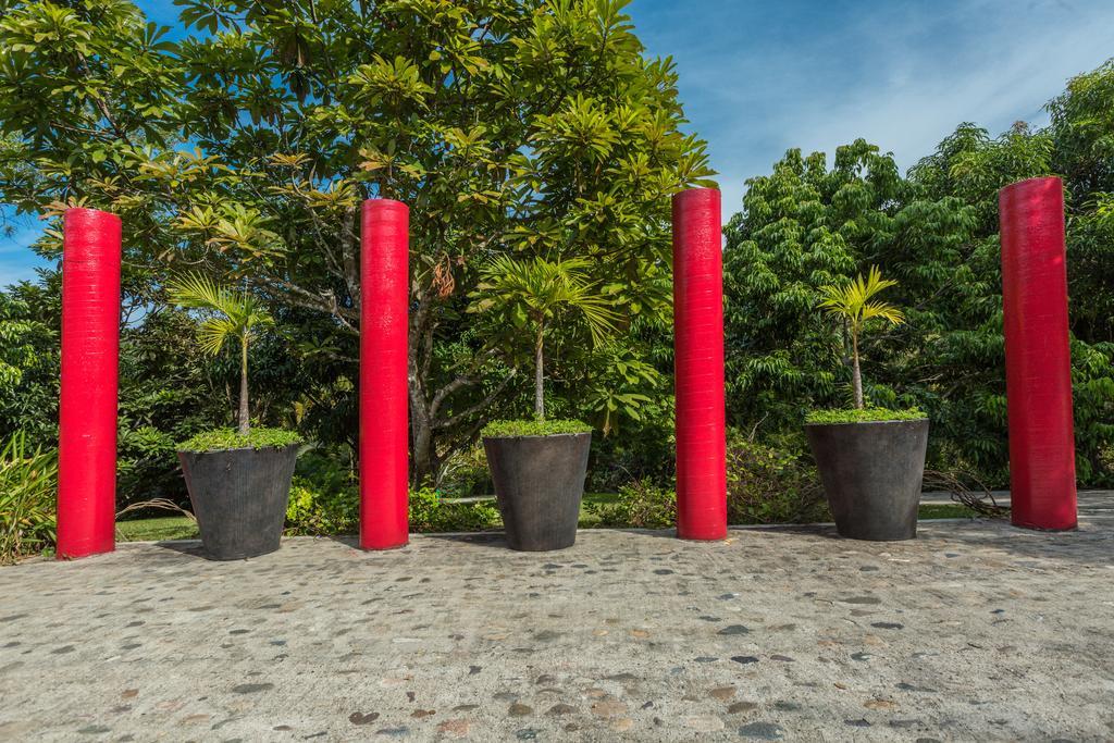 Villa Azalea Inn & Organic Farm JALISCO エクステリア 写真