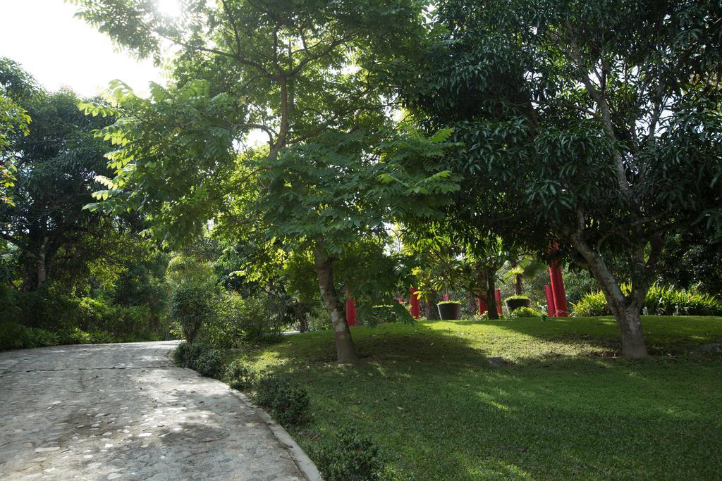 Villa Azalea Inn & Organic Farm JALISCO エクステリア 写真
