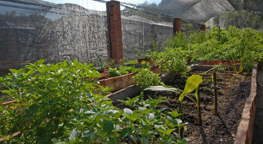 Villa Azalea Inn & Organic Farm JALISCO エクステリア 写真
