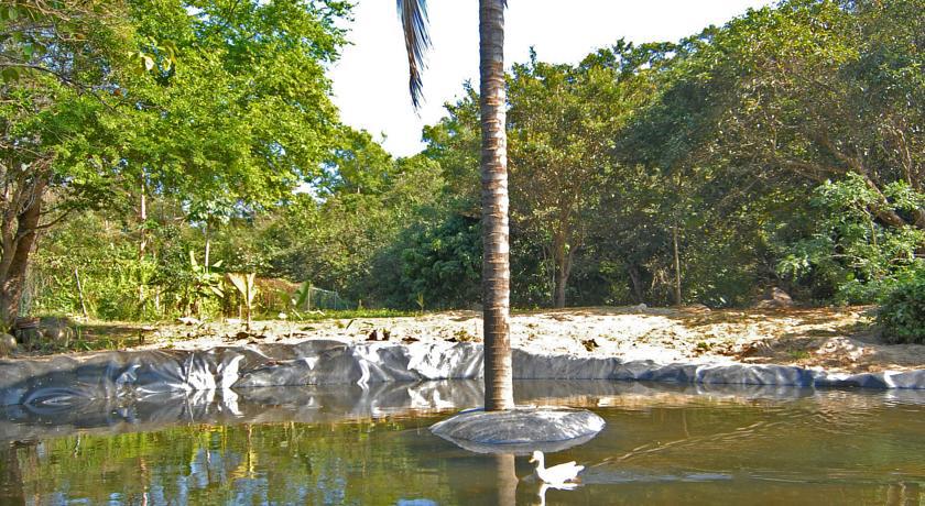 Villa Azalea Inn & Organic Farm JALISCO エクステリア 写真