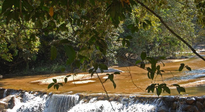 Villa Azalea Inn & Organic Farm JALISCO エクステリア 写真